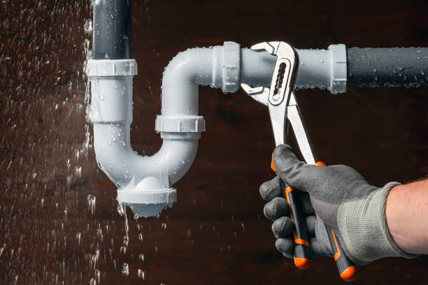 Professional Emergency Plumber technician working in Maybee, MI